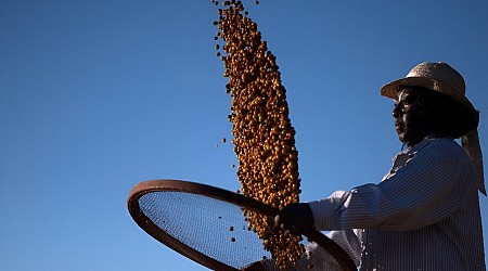 Black farmers in Brazil changing views on coffee production