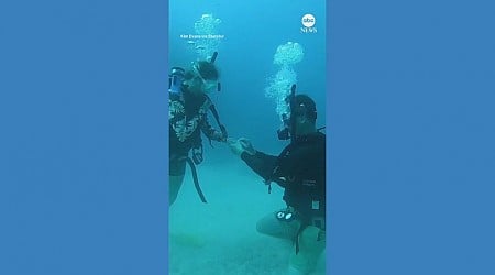 WATCH: Man proposes to girlfriend while scuba diving off Fiji coast