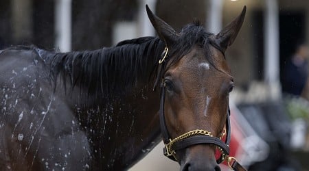 Mike Repole Compares Horse Fierceness to Kobe Bryant, Tom Brady Before Kentucky Derby