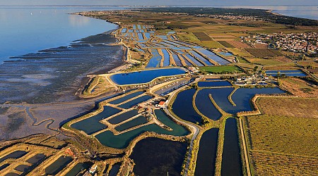 A l’île de Ré, le massacre oublié des troupes de Buckingham