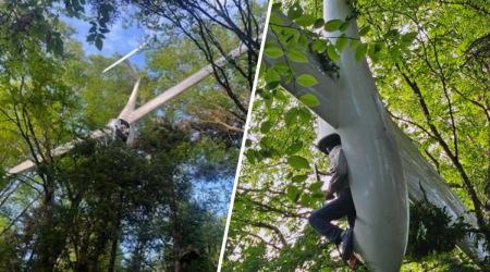 Glider crashes into tree in NH’s White Mountain National Forest