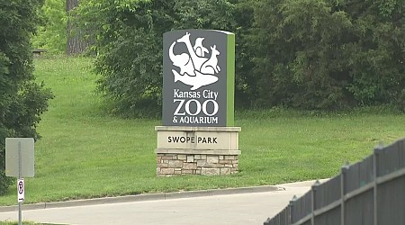 Police investigating vehicle thefts at Kansas City Zoo