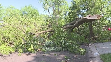 City of Leawood, Kansas offers curbside storm debris pickup