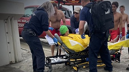 Shark attack victim punched it in the face before he was rescued, friend says