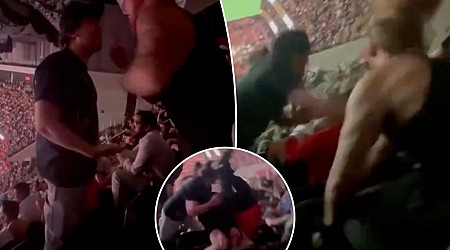 UFC 302 fan gets punched down stands as 'slap me' taunt backfires