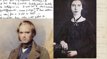 Charles Darwin and Emily Dickinson, kindred spirits in art and science