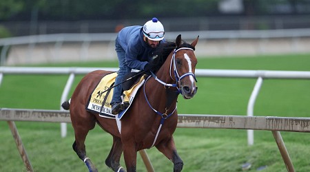 Belmont Stakes Picks 2024: Vegas Odds and Predictions After Post Draw