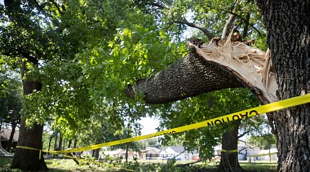 Dallas County added to federal disaster declaration allowing residents to apply for aid