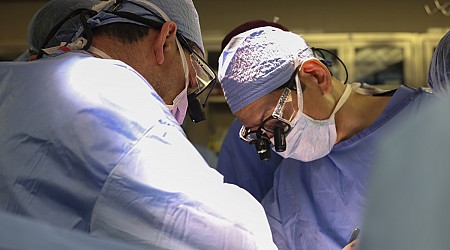 Xenotransplantation: Erster Patient mit genveränderter Schweineniere gestorben