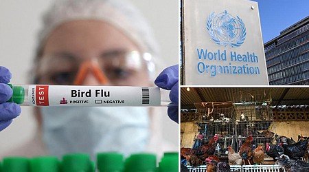 First fatal human case of bird flu subtype A(H5N2) confirmed: WHO