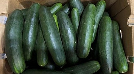 CDC Says Cucumbers Likely Cause of Salmonella Outbreak in 25 States