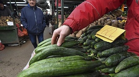 Feds investigate possible link between whole cucumbers, salmonella outbreak