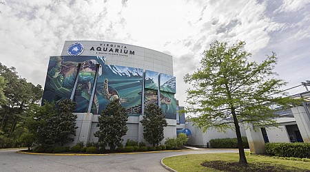 Public left out of talks about future of Virginia Aquarium, Virginia Beach council member says