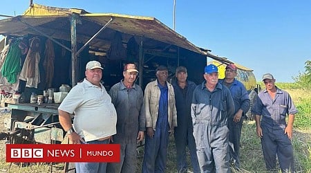 "Sin azúcar no hay país": cómo colapsó el producto más emblemático de la economía de Cuba