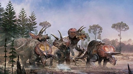 'Parque Jurásico' tenía razón: los Triceratops vivían en manada