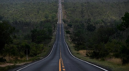 Deforestation in Brazil's Cerrado higher than in Amazon: Report