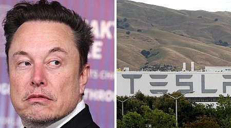 Elon Musk's $55 billion Tesla pay package seems to be getting mounting pushback