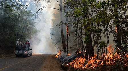 Mexico Is Fighting Over 100 Active Wildfires Amid a Heat Wave