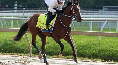 Mystik Dan in 5 post for Preakness but not favored