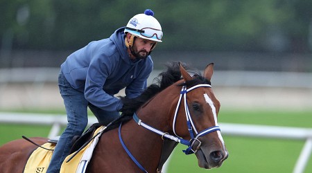 Preakness 2024: Entries, Contenders, Odds and Lineup Analysis