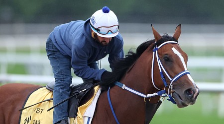 Preakness 2024 Post Positions: Predictions for Each Horse in the Lineup