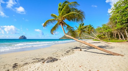 Im Juni: Karibikurlaub auf Martinique 