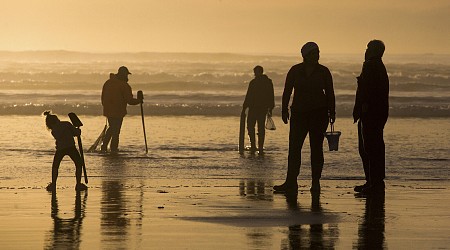 Oregon officials close entire coast to mussel harvesting due to shellfish poisoning