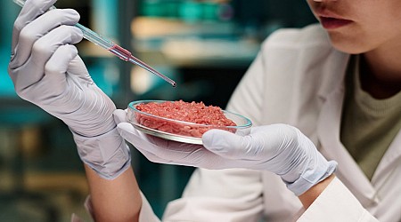 The Sale of Lab-Grown Meat Has Already Been Banned by Some U.S. States. Here’s Why