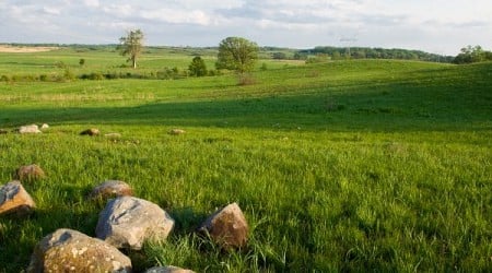 Nachusa Grasslands in Franklin Grove, Illinois