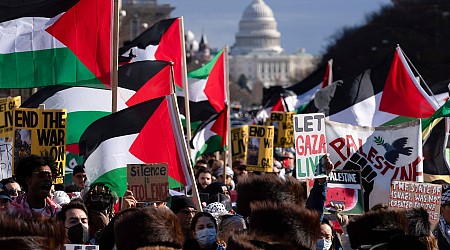 Thousands are expected to rally in Washington in support of Palestinian rights