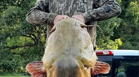 See it: Catfish 'the size of a 6th grader' tops state record after pulled from Oklahoma reservoir