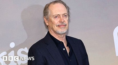 Actor Steve Buscemi punched in random New York attack