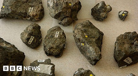 New 'Poozeum' displays record fossilised poo haul