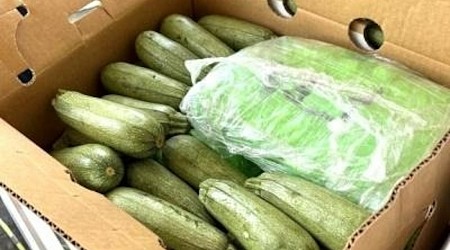 1,400 packages of meth weighing almost 6 tons, worth $18M found in squash shipment