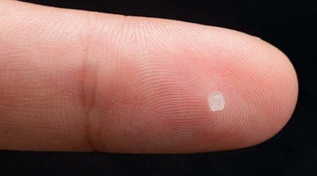 Tiny brain sensor implanted without surgery dissolves after weeks