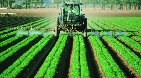 Atrazine, an endocrine-disrupting herbicide banned in EU, is widely used in US