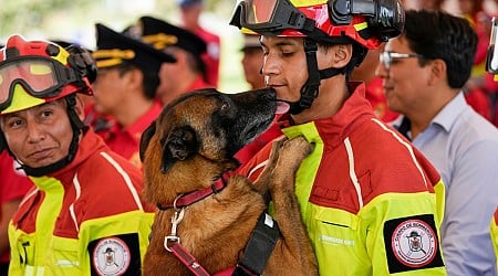 Firefighter dogs who rescued people from natural disasters in Ecuador retire