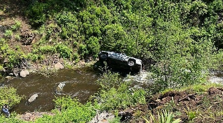 A dog helped his owner get rescued after a car crash in a remote, steep ravine