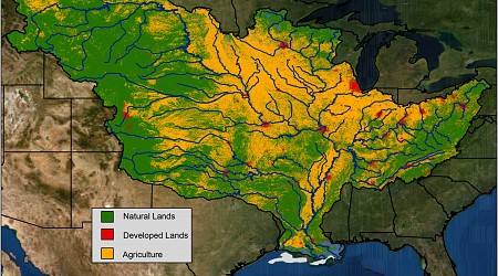 NOAA forecasts above-average summer 'dead zone' in Gulf of Mexico