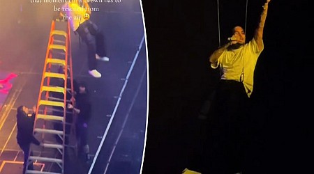 Chris Brown gets stuck dangling in the air during concert, rescued by ladder