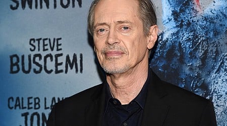 Man Charged in Random Attack on Steve Buscemi in New York