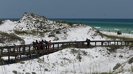 Back-to-back shark attacks in Florida, 2 critically injured. Why the Sunshine Sate tops the rankings of shark bites globally.