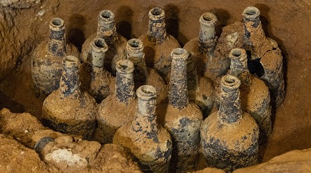 George Washington's Mansion Dig Finds Preserved Bottled Fruits From 1700s