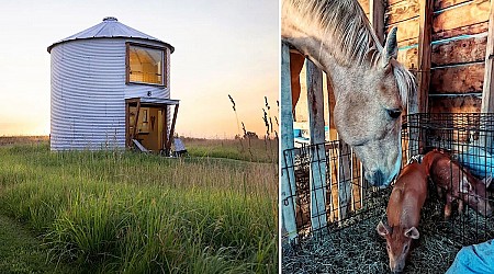 Live Out Your Inner Cowboy at These Rural Montana Farm Airbnbs