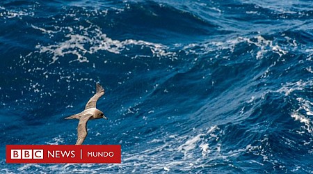 Las particulares razones por las que el océano Pacífico es más alto que el Atlántico (y cómo afecta eso al Canal de Panamá)