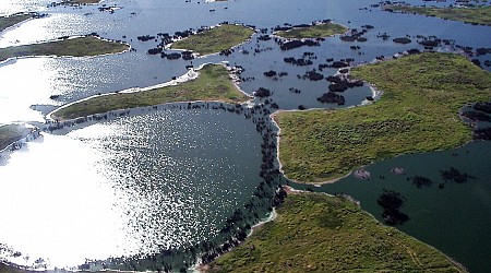 Đầm lầy Pantanal lớn nhất thế giới đang bị cháy