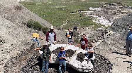 Three boys discovered teenage T. rex fossil in northern US: 'Incredible dinosaur discovery'