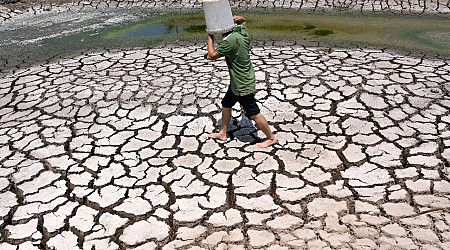 Climate change caused 26 extra days of extreme heat in last year: report