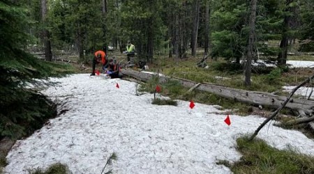 South Hadley man recalls bear attack at Grand Teton in Wyoming