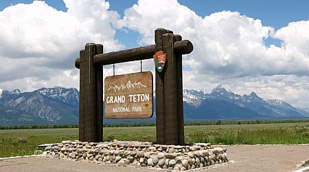 Army veteran seriously injured by grizzly bear protecting her cub at Grand Teton National Park